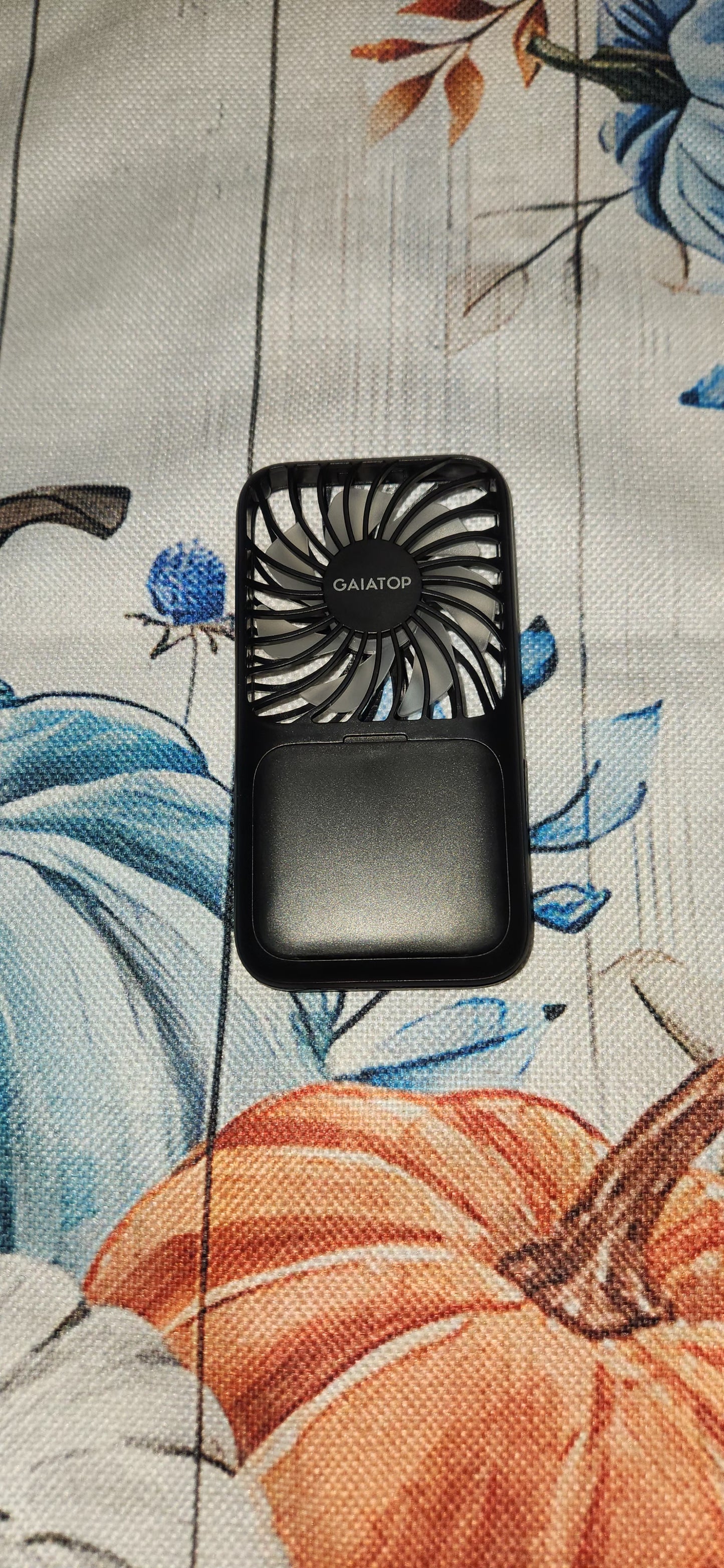 Handheld Fan
