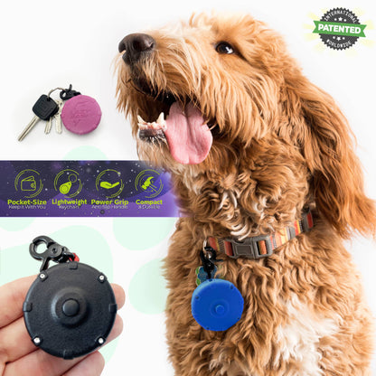 LAZY LEASH! ⚡️ Mini Power Leash!