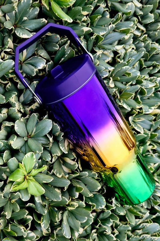 Mardi Gras 30 oz Tumbler Flip Straw