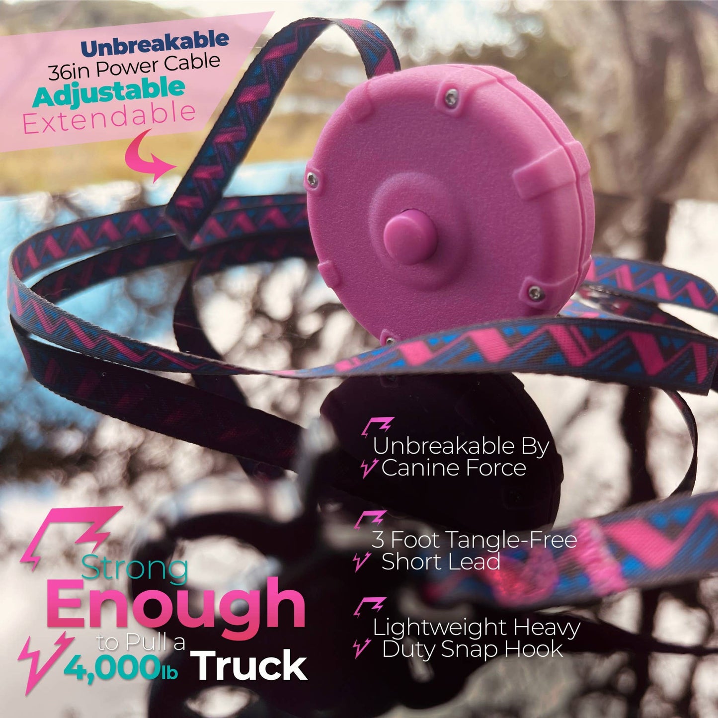 LAZY LEASH! ⚡️ Mini Power Leash!