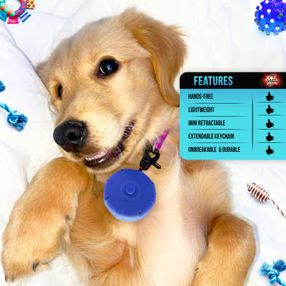 LAZY LEASH! ⚡️ Mini Power Leash!